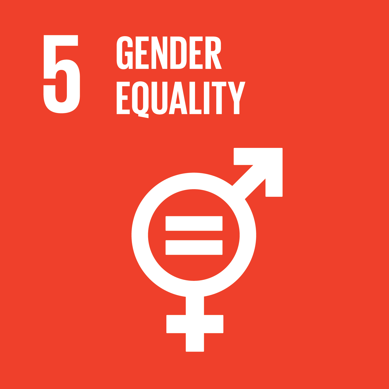 Logo SDG 5